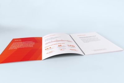 optimal media Print business report 2019 50hertz