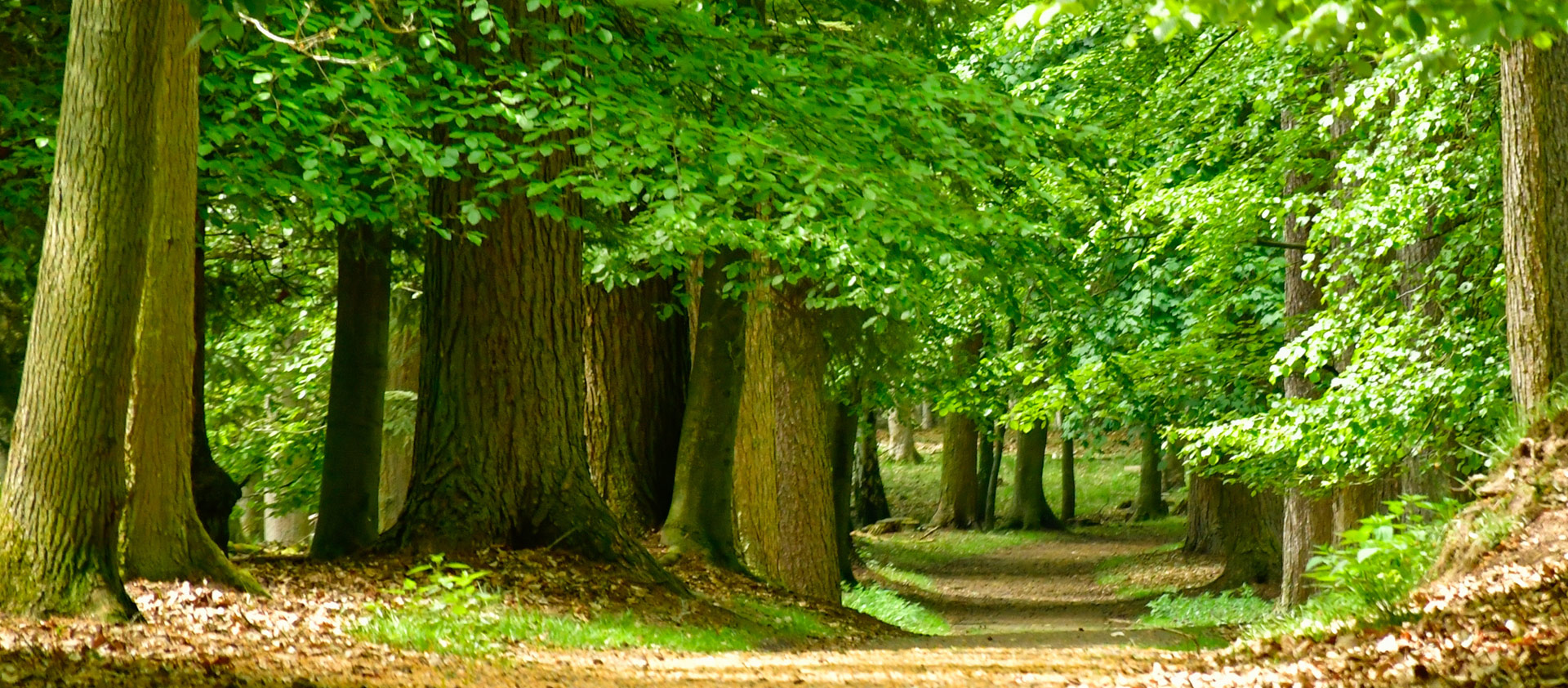 Sustainabilty: Regional nature protection project | optimal media