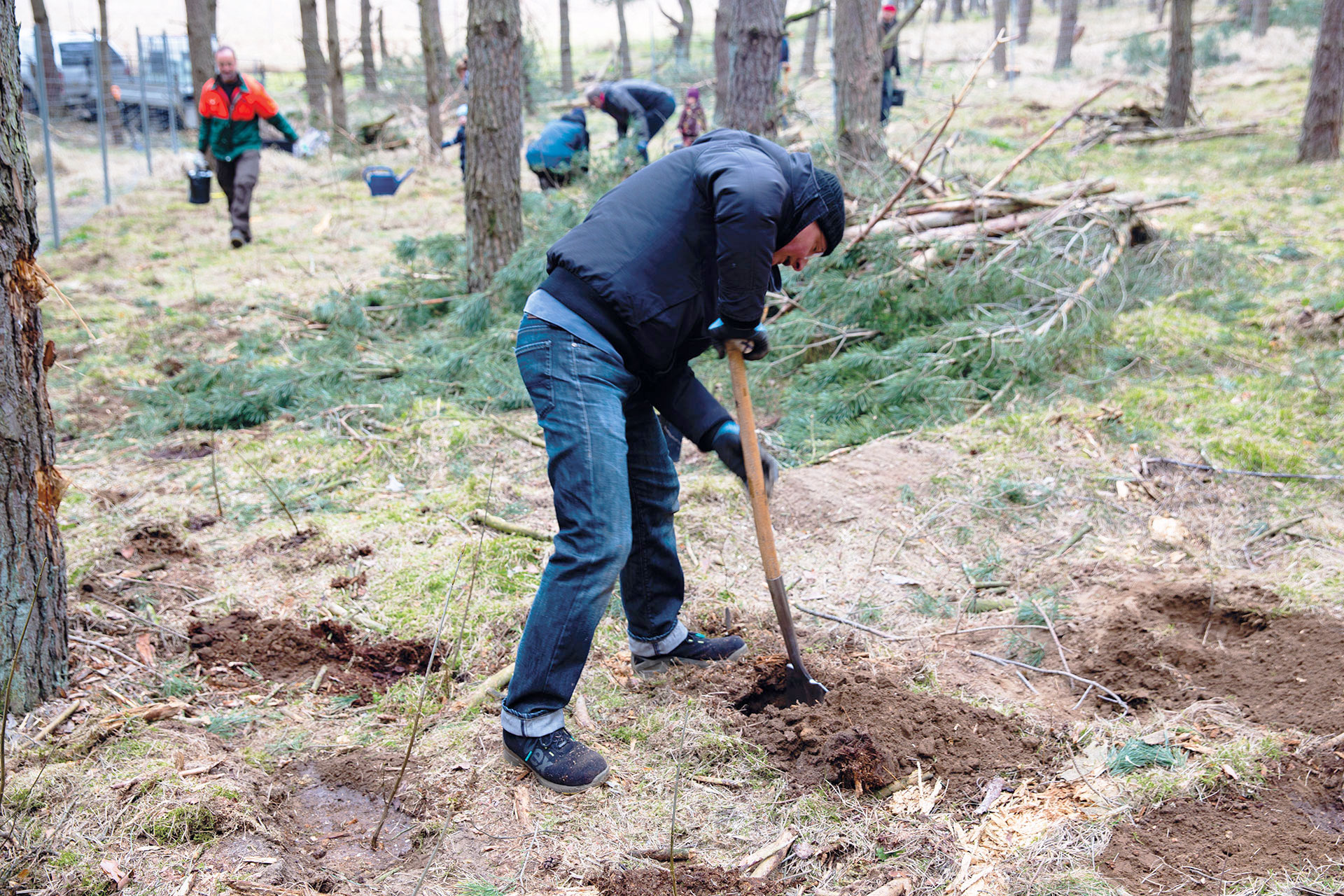 optimal media Pflanzaktion 2025 Nossentiner Schwinzer Heide