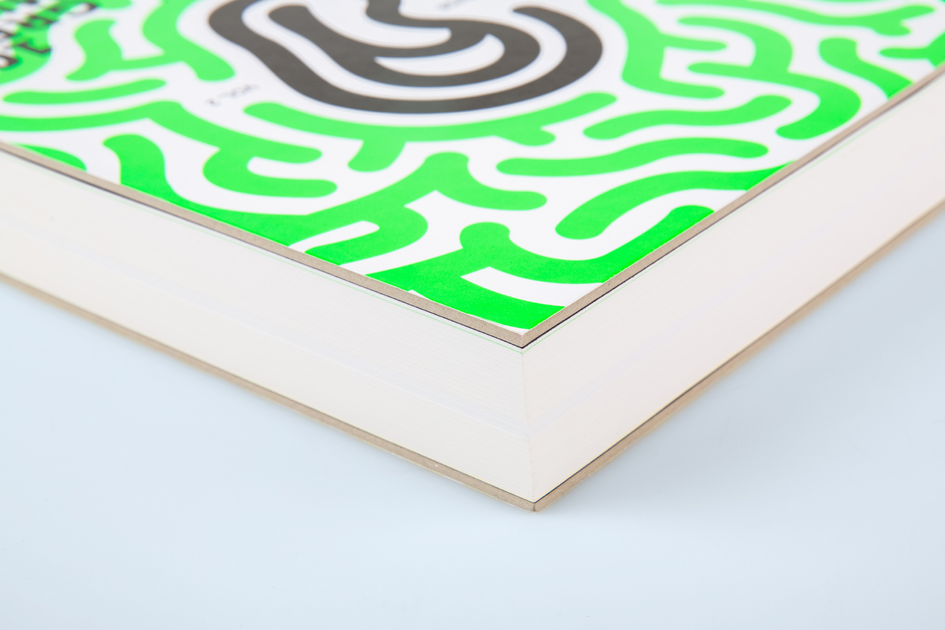 Uli Reese - 101 Great Minds | amp: Glattschnitt als harter Gegensatz zum geschwungenen Coverdesign