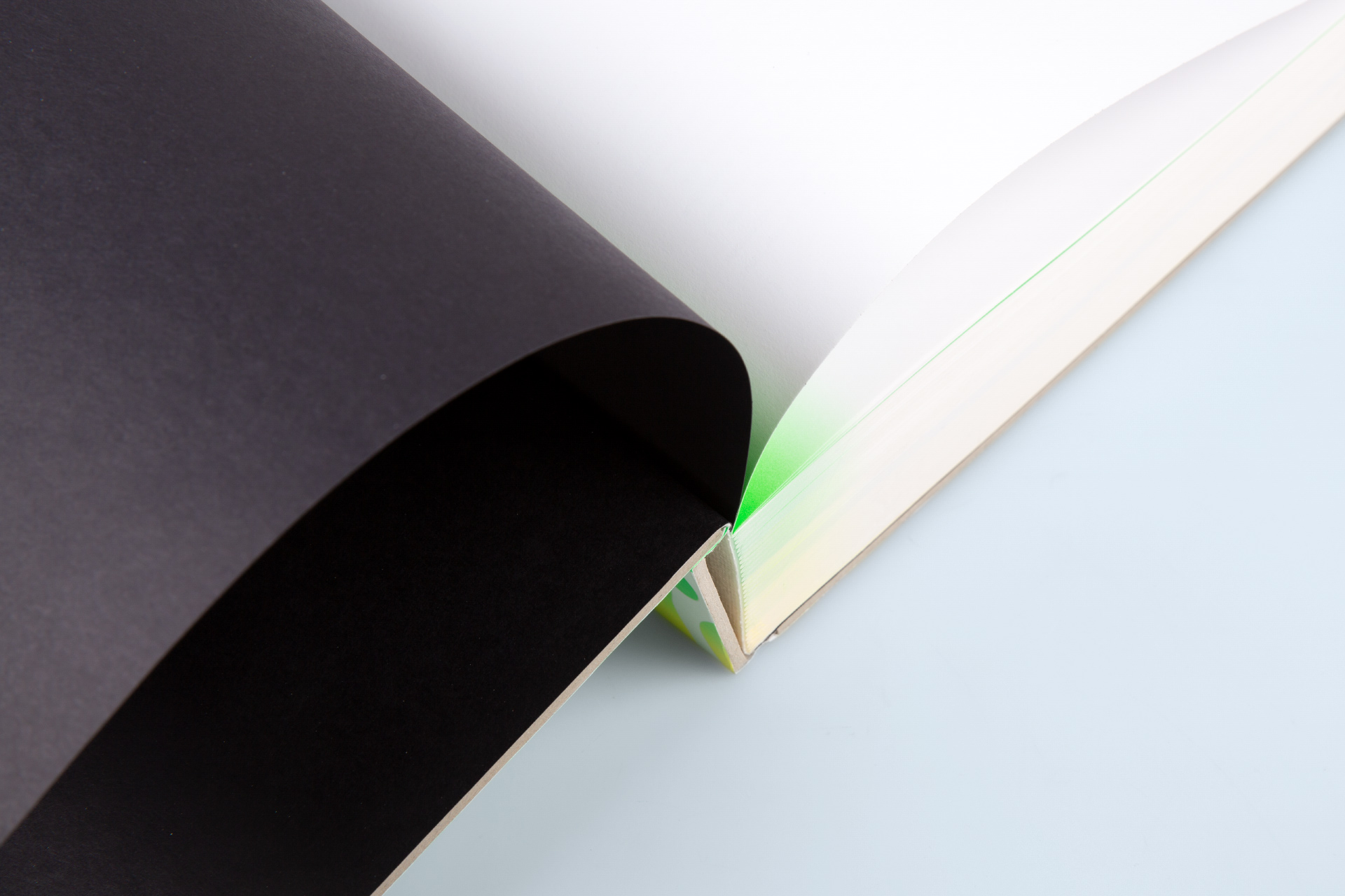 Uli Reese - 101 Great Minds | amp: Integrierter, durchgefärbter Vorsatz