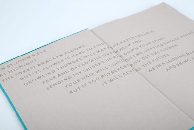 Vincent Kohlbecher - Its flower is hard to find | Hartmann Books: Printed endpapers