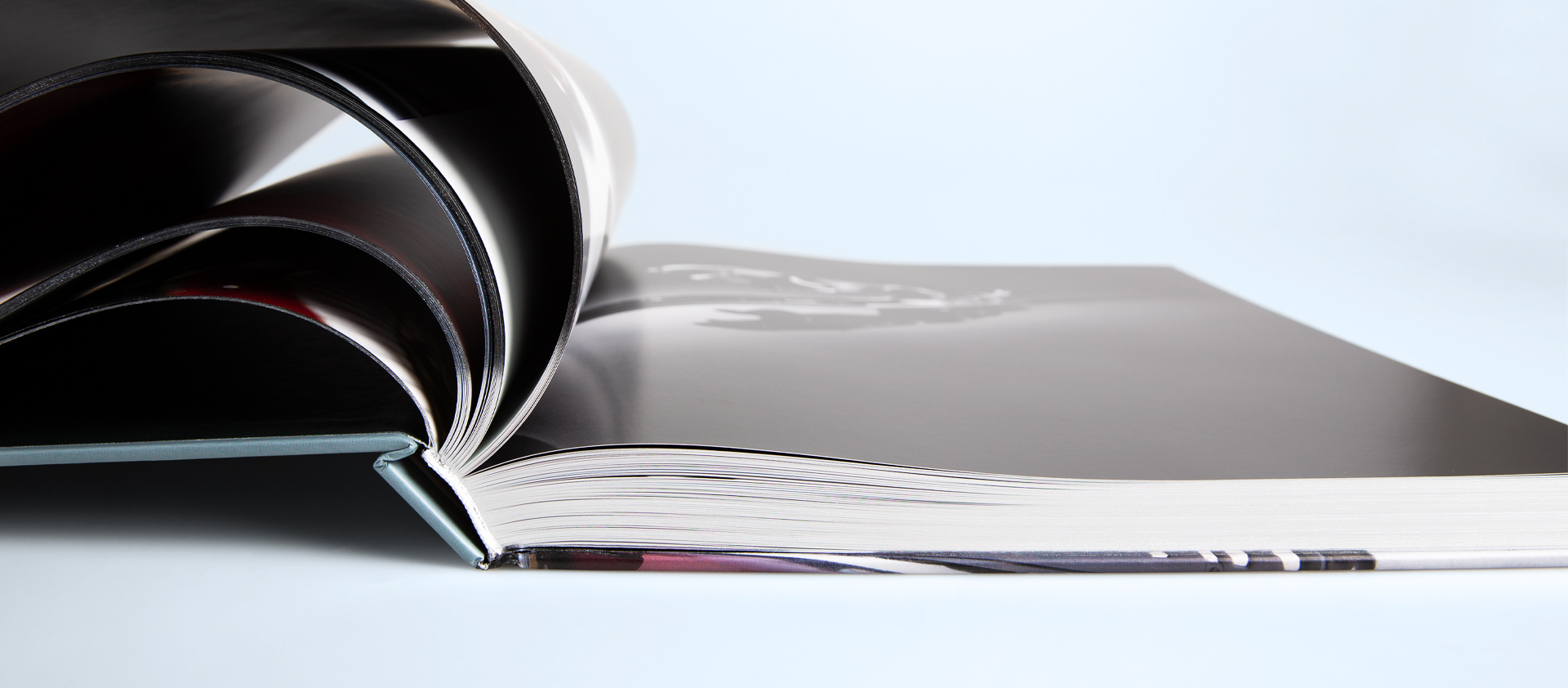 The Jaguar Book